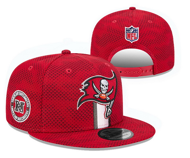 NFL hats 026