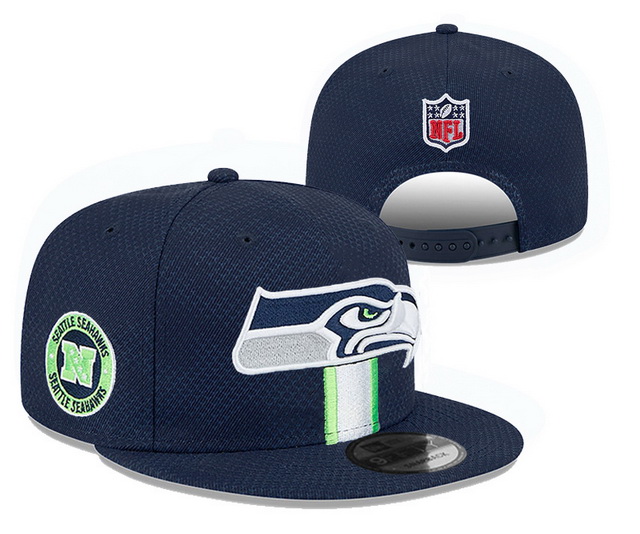 NFL hats 027