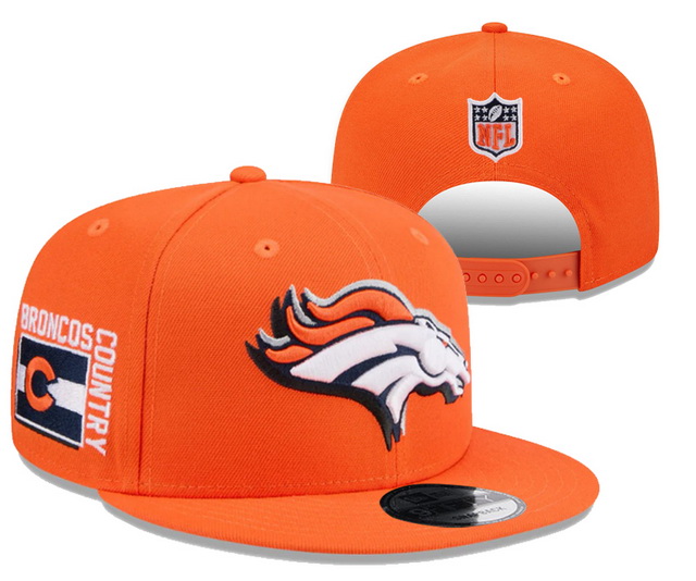 NFL hats 037