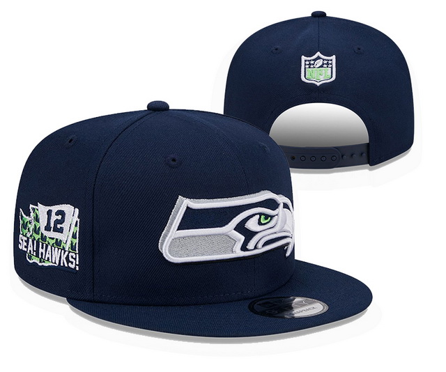 NFL hats 064